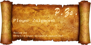 Pleyer Zsigmond névjegykártya