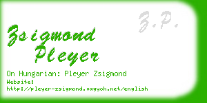 zsigmond pleyer business card